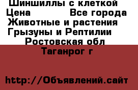 Шиншиллы с клеткой › Цена ­ 8 000 - Все города Животные и растения » Грызуны и Рептилии   . Ростовская обл.,Таганрог г.